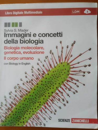 Immagini concetti della - immagini,