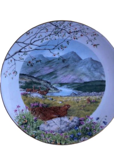 Royal worcester piatto - worcester,