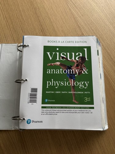 Visual anatomy physiology - visual,