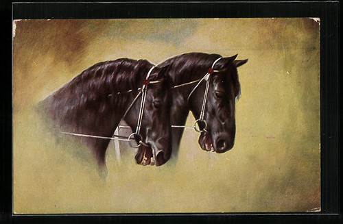 Cartolina cavalli neri con