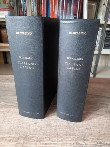 DIZIONARIO