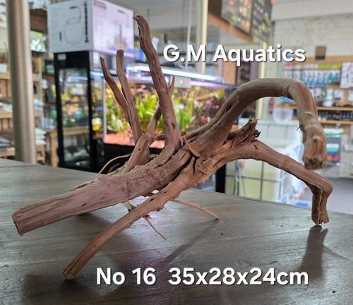 Acquario acquascape - acquario,