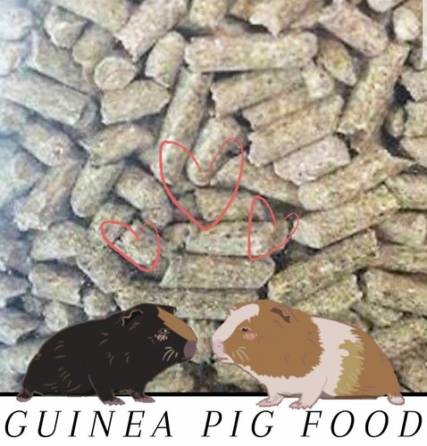 Pellet alimentare porcellini - pellet,