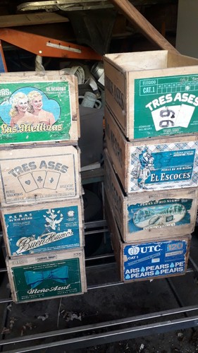 Cassetta frutta argentinas - , di