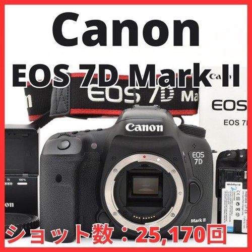 E13 7809 ottime - 7809, 41