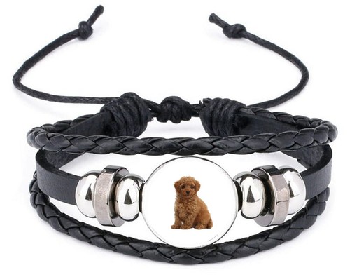 Toy poodle dog pet family - toy,