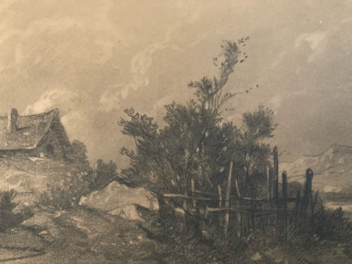 Disegno xix carboncino - xix,
