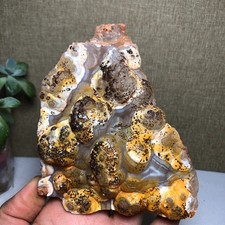 Bonsai Naturale Suiseki Gobi