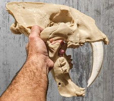 Life-Size 3D Printed