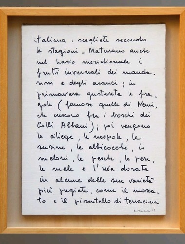 Lucia marcucci opera - ,