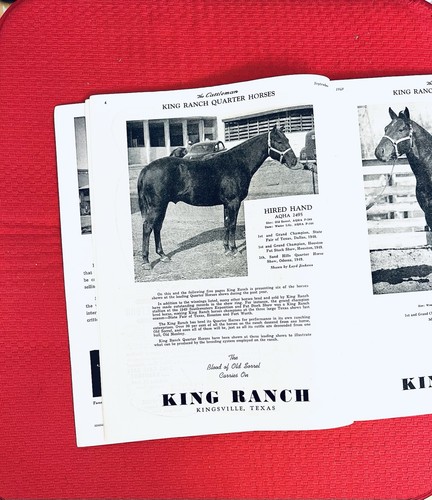1949 quarter horse leo - quarter,