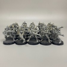 20 Eldar Guardians Truppe