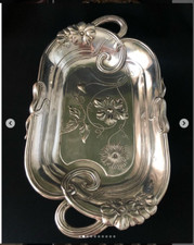 Grande vecchio albero da