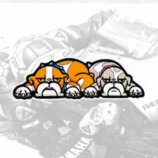 Adesivo Rossi Bulldog #7 motogp dog adesivi autocollant sticker pegatina