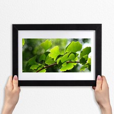 30x20 Cornice di legno MDF con