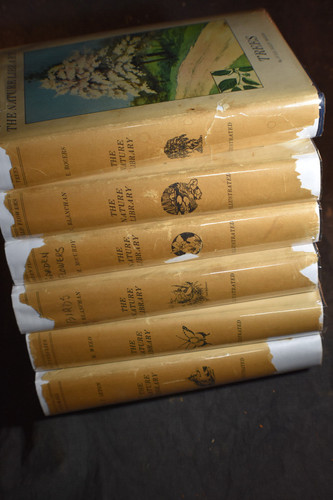 The nature library - the,