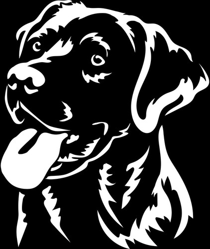 Adesivo labrador - adesivo,