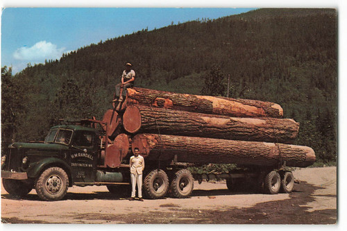Douglas fir logs oregon wa - logs, e
