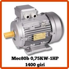 Motore elettrico trifase