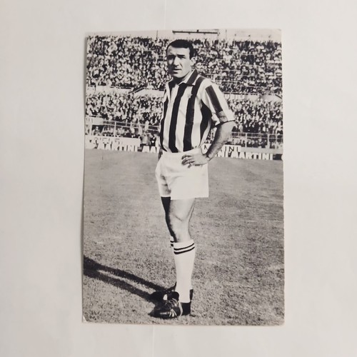 José altafini - altafini,