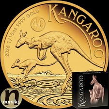 CANGURO 40. Anniversario -