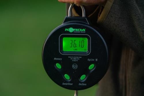 Bilancia digitale korda 132 - bilancia,