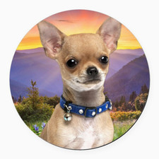 Ciondolo ciondolo CHIHUAHUA