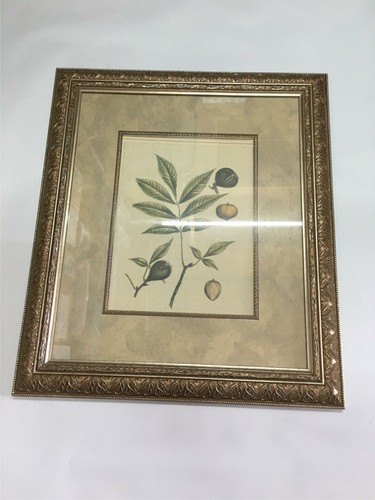 Ren wil inc quadro - inc.,