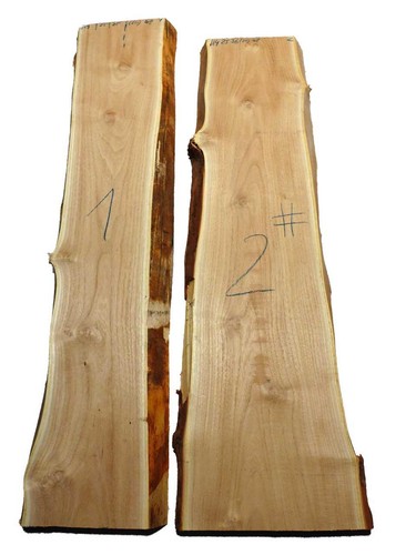 Legno acacia robinia - legno, di
