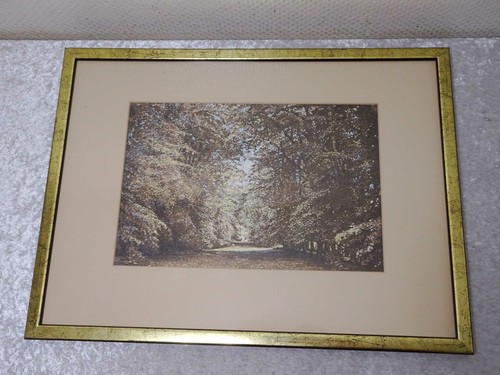 Stampa artistica con - stampa,