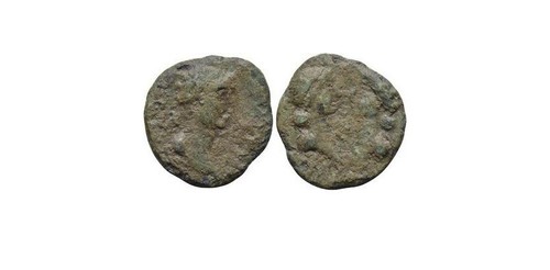 Brumus britannico - brumus, (41-54)
