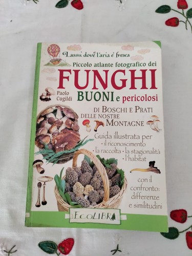 Libro piccolo atlante - libro,