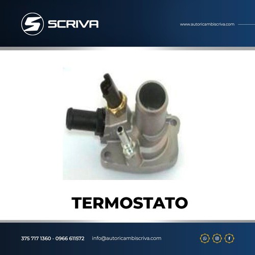 Termostato behr fiat - termostato,