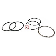 KIT SERIE FASCE ELASTICHE