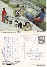 # PONTE DI LEGNO (BS) SCUOLA SOPRAVVIVENZA ARTICA CON CANI DA SLITTA 1988