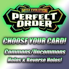 Pokémon Perfect Order: CHOOSE