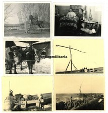 6x orig. Foto Ufficiali