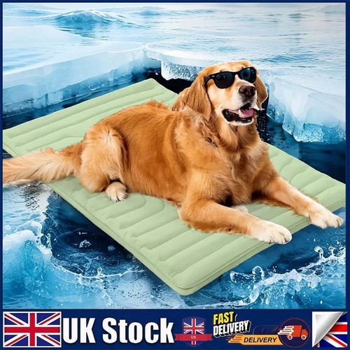 Pawfroste tappetino - pawfroste,