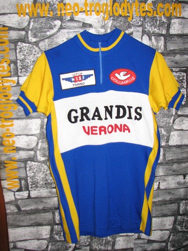 Vintage cycling jersey - cycling, wool