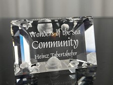 Statuina Swarovski 898130