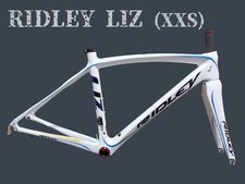 [Decisione immediata] RIDLEY