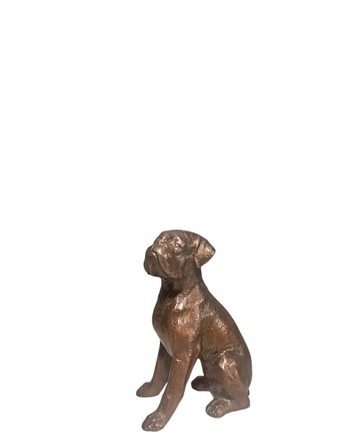 Statua scultura cane boxer - , in