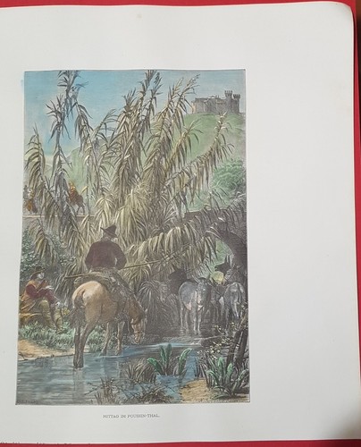 Xilografia butteri agro - xilografia,