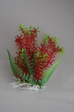 Acquario Piante Ca 16 CM Alto