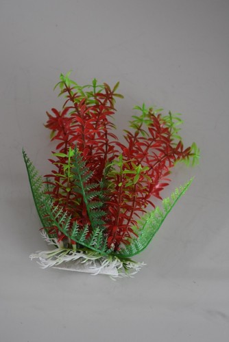 Acquario piante cm - 16,