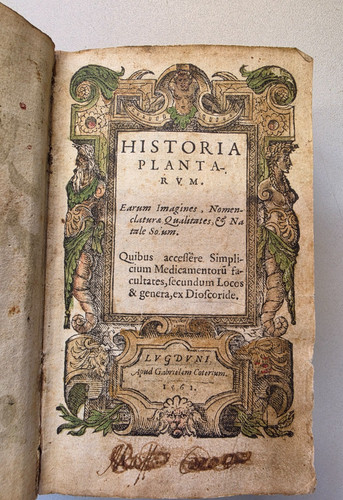 1561 antico libro delle erbe - libro,