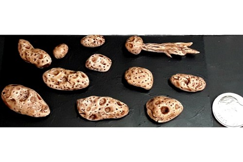 Sci confezione asteroidi - sci,
