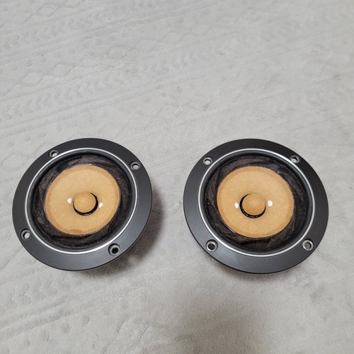 Coppia altoparlanti fostex - coppia,
