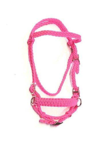 Cavallo briglia senza bit - senza,