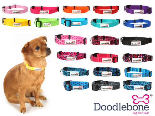Doodlebone collari per - doodlebone, cani